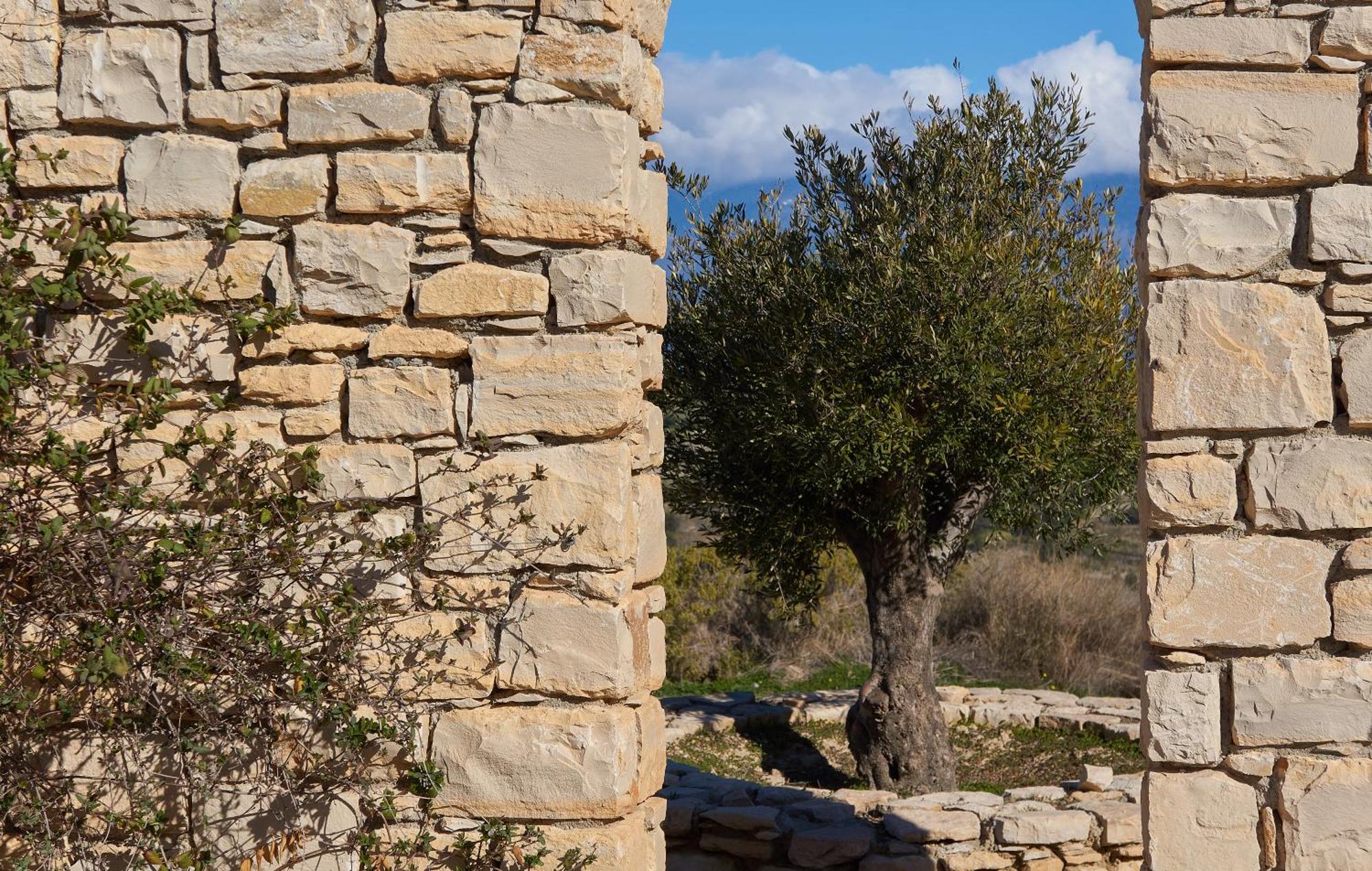 Orelia Cretan Deluxe * Kamilari
